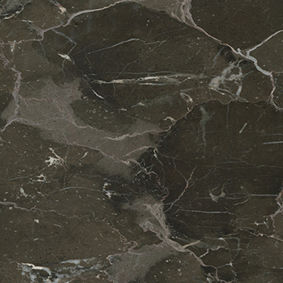 Chinese dark emperador.jpg