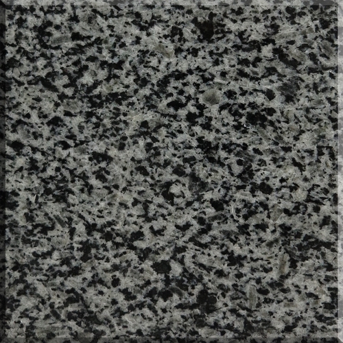 New China Impala .jpg